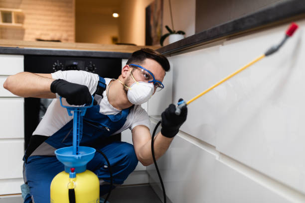 Best Emergency Pest Control  in Biltmore, TN