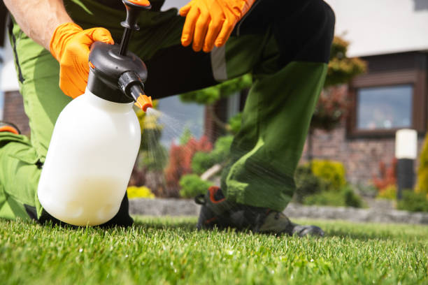 Best Exterminator Services  in Biltmore, TN