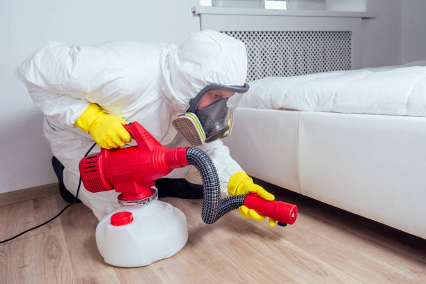 Best Bed Bug Extermination  in Biltmore, TN